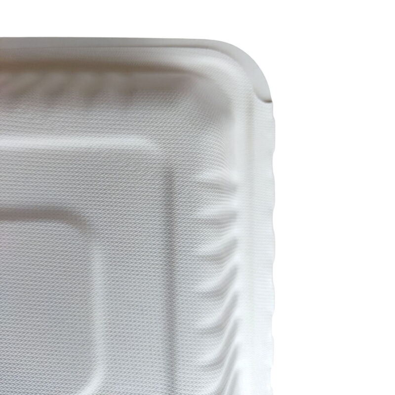 Contenedores de Bagazo 8x8" Liso -LeoPack